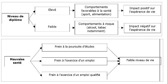 Quels Facteurs Structurent Et Hiérarchisent L'espace Social Actuel